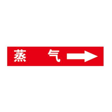 帛拉 标识 自粘乙烯管道标识 蒸汽 红底白字，60*300MM