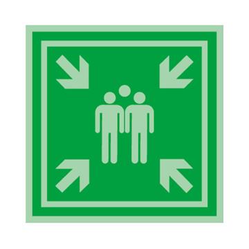 SAFEWARE 船用IMO安全标识-紧急集合点，自发光不干胶，150×150mm 20460