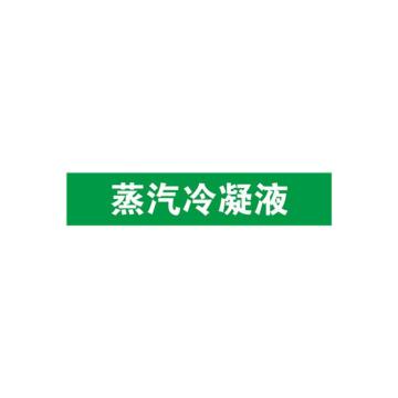 安赛瑞 管道标识-蒸汽冷凝液，自粘性乙烯表面覆膜，绿底白字，100×500mm 15282