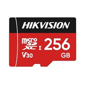 Hikvision 海康消费类TF存储卡 DS-TF256G-L2(标配)