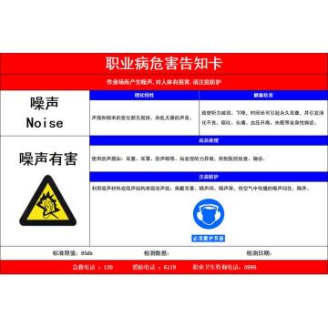 功成狮 职业病危告知卡-噪声，不干胶65cm*50cm，内容定制 GSSD0003