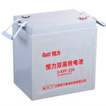 恒力 电动车电瓶车升降机电池铅酸电池EVF系列6v220ah（不含安装） 3-EVF-220