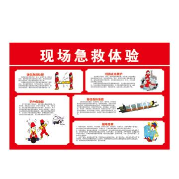 Raxwell 安全教育挂图-现场急救措施，750mm（长）*500mm（宽），1.5mmABS塑料板 RSSJ0072