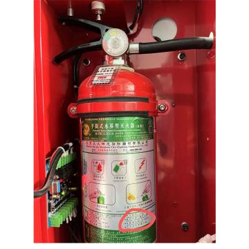 神龙 车用手提式水基型灭火器2L，低温（老国标型号MSWCZ/2D10停产，发新国标升级型号MS/ABEF2CⅠ） MS/ABEF2CⅠ