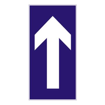 嘉辽 单行路直行(广告级反光膜），300×800mm附带铝槽含配件不含立柱 EBS1607