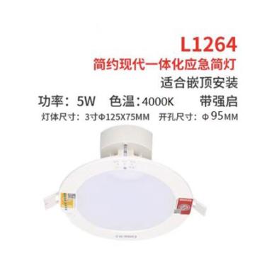 劳士 应急筒灯，3寸，5W，孔9.5，面径12.5 L-ZLZD-E5W1264