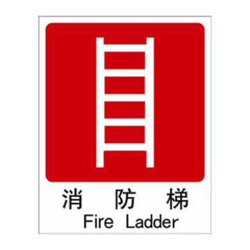 安赛瑞 消防安全标识-消防梯，自发光不干胶，250×315mm G5505C