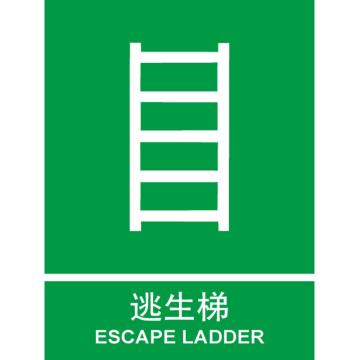 卡威 逃生梯150×200mm，3M不干胶标识贴 KVSI0775