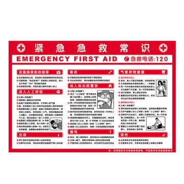 Raxwell 安全教育挂图-紧急急救常识，750mm（长）*500mm（宽），1.5mmABS塑料板 RSSJ0076