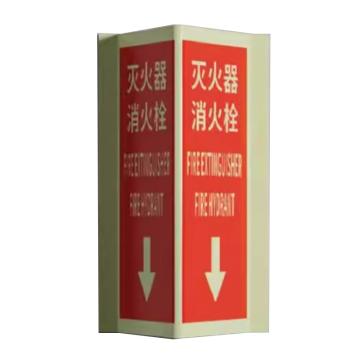 戴利 夜光灭火器三角牌 PVC或铝板折弯内容自发光，340*300mm