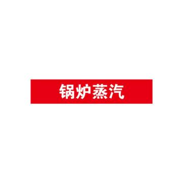 安赛瑞 管道标识-锅炉蒸汽，自粘性乙烯表面覆膜，红底白字，25×125mm 14962