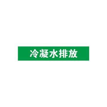 安赛瑞 管道标识-冷凝水排放，自粘性乙烯表面覆膜，绿底白字，25×125mm 14912