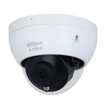 大华 200万星光红外定焦防暴半球网络摄像机 DH-IPC-HDBW2233DR-SA（焦距：6mm)