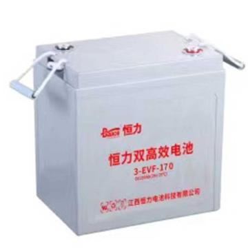 恒力 电动车电瓶车升降机电池铅酸电池EVF系列6v170ah（不含安装） 3-EVF-170