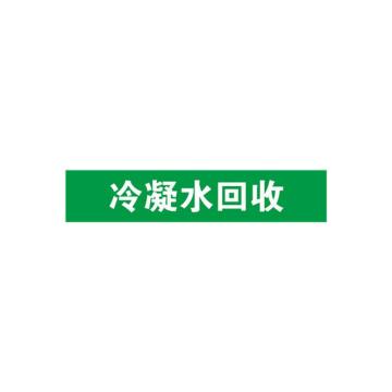 安赛瑞 管道标识-冷凝水回收，自粘性乙烯表面覆膜，绿底白字，25×125mm 14913