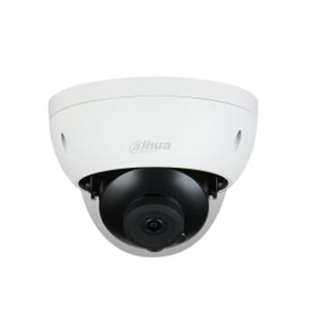 大华 防暴半球 DH-IPC-HDBW1230R 8mm