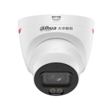 大华 夜视王暖光全彩双灯海螺半球（大靶面） DH-IPC-HDW2649DT-A-LED焦距：3.6mm