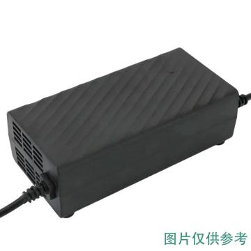 朗道推荐 电动三轮车电瓶充电器 48V45A