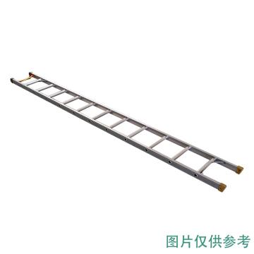Raxwell 铝合金直梯踏数:8，长度：3m，载重:150kg RMLE0005 售完即止