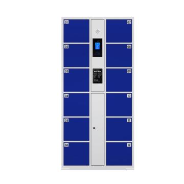Raxwell 智能电子存包柜12门，850×460×1800mm，人脸识别型，蓝色 RHAS0034