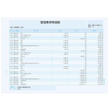 西玛 A4总分类账（明细账）500份/包 2包/箱 KZJ101