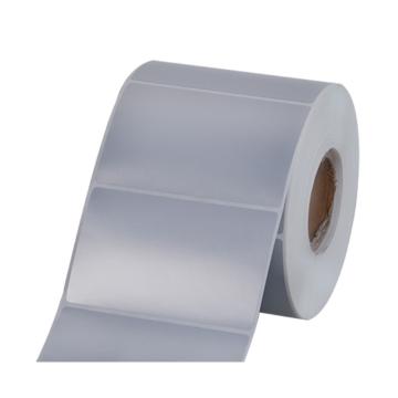 功成狮 亚银PET不干胶标签，60mm*30mm，1000张/卷 GCDY0315