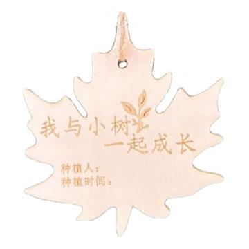 功成狮 树木认养牌 GFUD0139