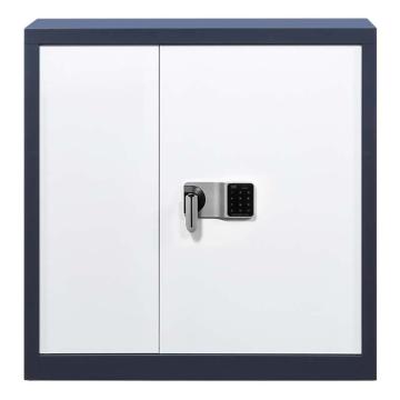 中兴 钢制矮柜电子密码防盗矮柜保密柜厚度0.9mm 900*420*900mm 蓝白套色 QLZX151