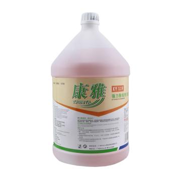 白云清洁 康雅强力除垢剂1加仑 KY-119