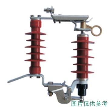 固力发 跌落式复合外套金属氧化物避雷器(热爆式) YH5WS-17/50DL-TB-Ⅲ