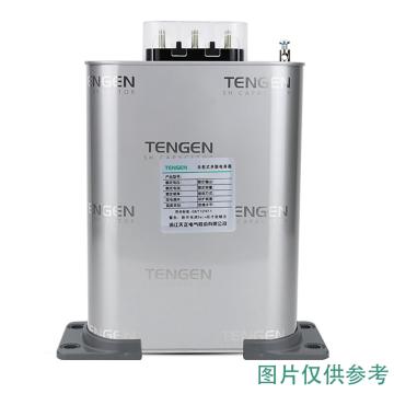 天正电气 BSMJ 系列自愈式低电压并联电容器6020040047 BSMJ0.4-18-3