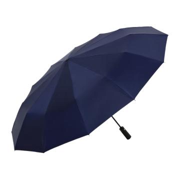 天堂伞 全自动雨伞10骨超大加固男女大号双人防风学生晴雨伞遮阳伞(黑色、藏青、灰色、紫色随机) 38018E