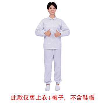 凌致 0.5网格防静电防尘分体服 翻领拉链同型号系列起订量10件 白色LZ01002-2，L码