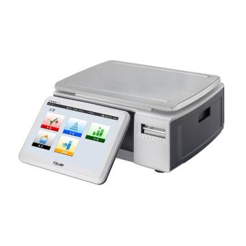 台衡 智能检重包装条码秤单彩屏，30kg，最小感量1g PC10-40-30K