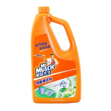 威猛先生 地面清洁剂 草本清香1KG