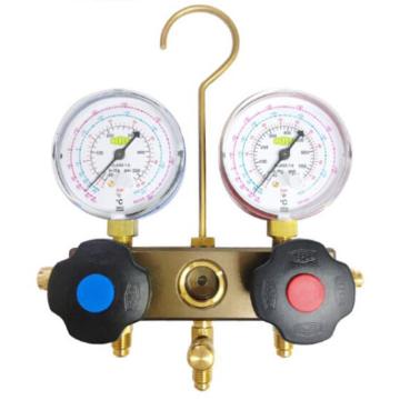 REFCO 双表组加氟表 BM2-6-DS-R32