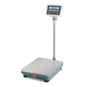 台衡 计重台秤秤台尺寸：450*350mm，150kg 最小感量10g SKW-150K