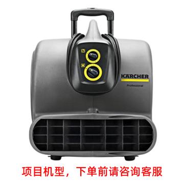 卡赫 商用鼓风机吹干机（项目机型需提前报备） AB45