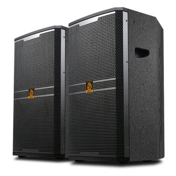 世林 音箱大型会议室大功率音响一对 BM-15
