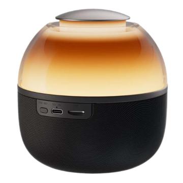 PHILIPS/飞利浦 电脑音响桌面蓝牙音箱音箱*1、Type-C充电线*1、用户手册*1、保修卡*1 TAS2009 酷雅黑