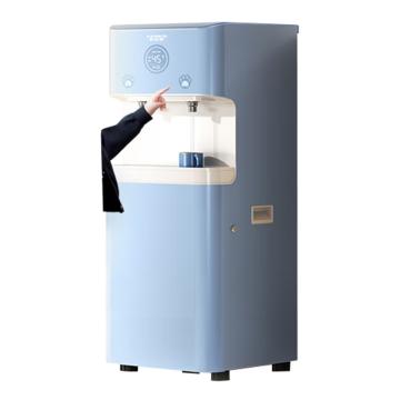 史密斯 双温开水双龙头反渗透净水机直饮机600G新一级水效高温杀菌双温开水 BZR600-S6
