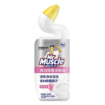 威猛先生 洁厕液 恋恋桃花 600g