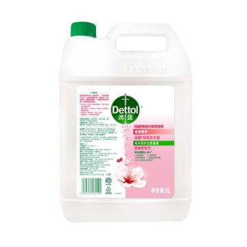 滴露 洗手液 滋润倍护5L