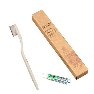 蓝卡诺 一次性牙具套装平板牙刷尖毛+6g黑妹牙膏 JGA-04