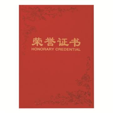 齐心 纸面荣誉证书B5 C4594红