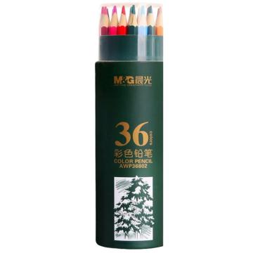 MG 筒装油性彩铅36色/筒装 AWP36802