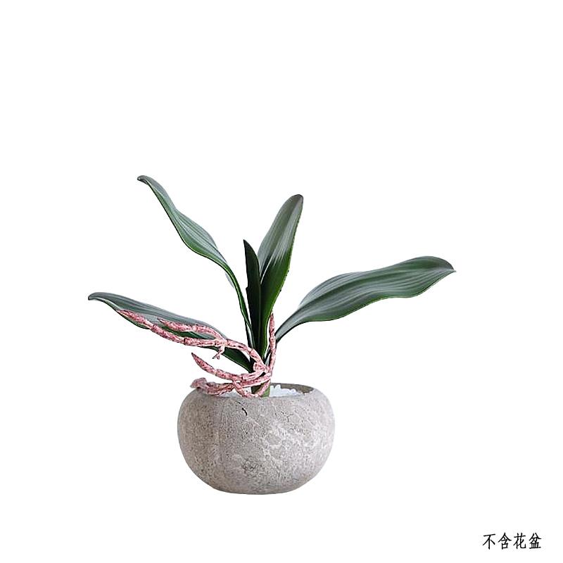 月桐 仿真蝴蝶兰叶小号 7*17cm YT-XCCHD3