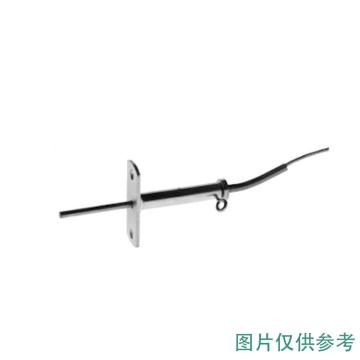 SIEMENS/西门子 废气温度传感器 FGT-PT1000
