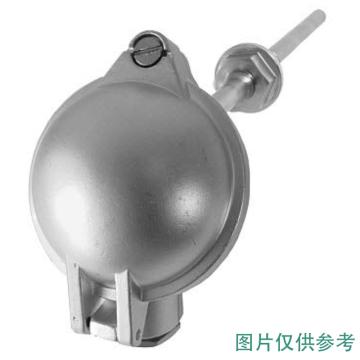 SIEMENS/西门子 浸入式高温传感器 QAE3075.010