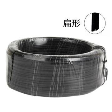 中泊 铜芯聚氯乙烯绝缘平行软导体电线（扁形） RVB-300/300V 2×0.5 白色
